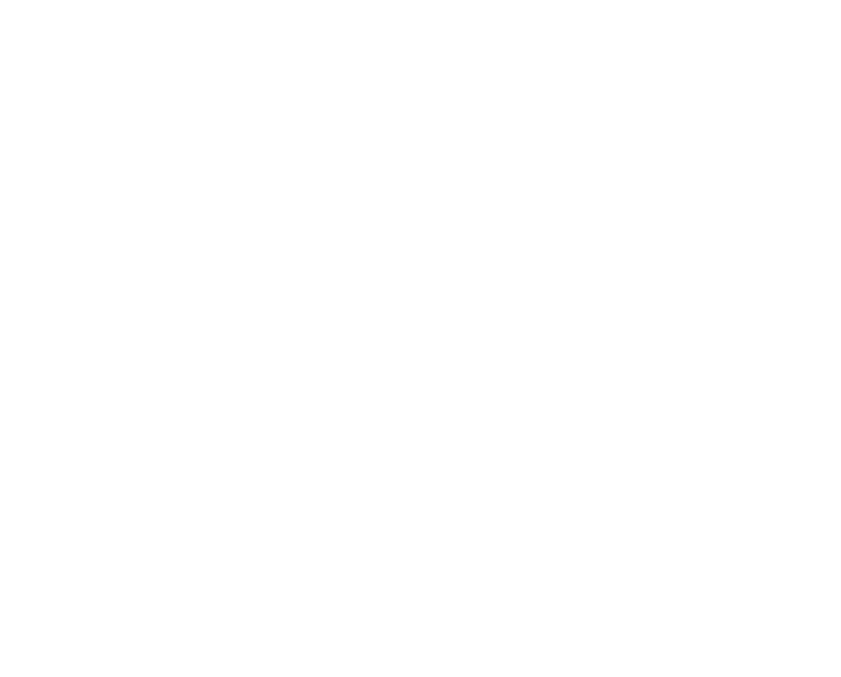 Renegade's Meat Processing